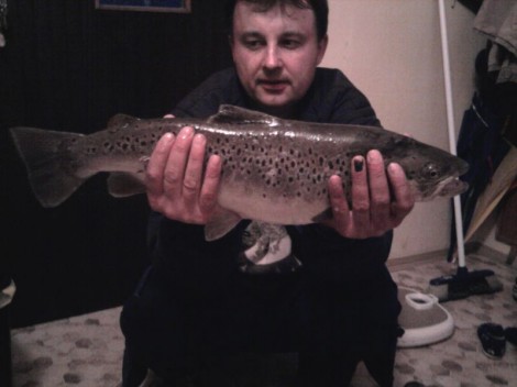 Pstruh obecný, 60 cm, 2.6 kg