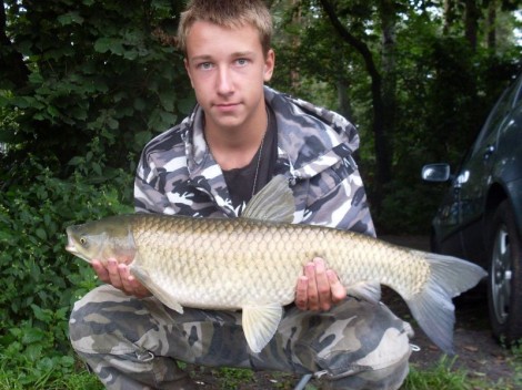 Amur bílý, 71 cm, 5 kg