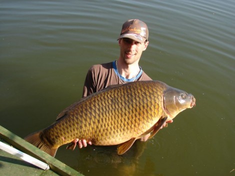 Kapr obecný, 97 cm, 19.5 kg