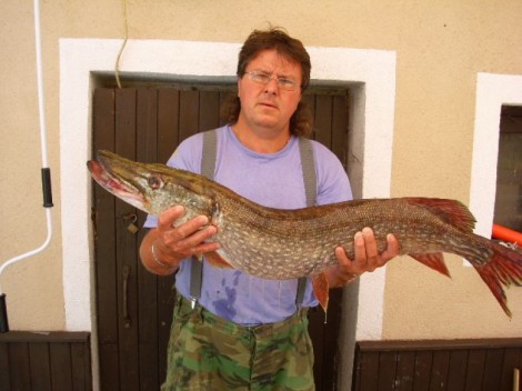 Štika obecná, 97 cm, 8 kg