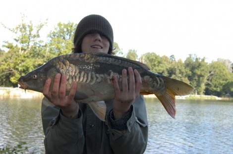 Kapr obecný, 67 cm, 7 kg