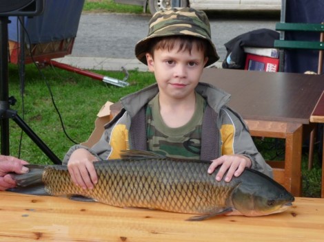 Amur bílý, 73 cm, 9.5 kg