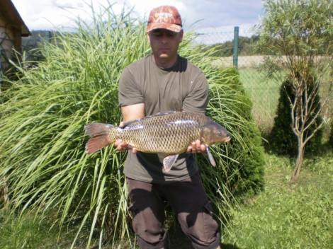 Kapr obecný, 65 cm, 6.2 kg
