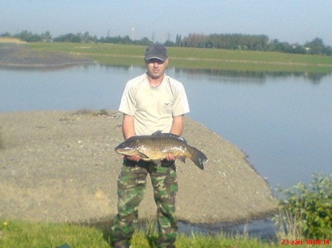 Kapr obecný, 72 cm, 7.4 kg