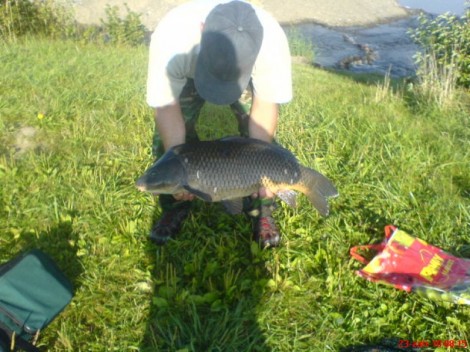 Kapr obecný, 72 cm