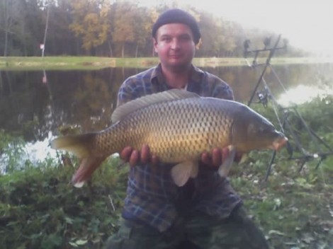 Kapr obecný, 70 cm, 7.5 kg