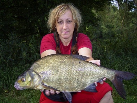 Cejn velký, 62 cm
