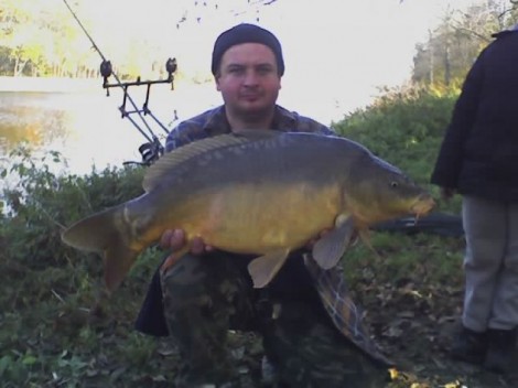 Kapr obecný, 74 cm, 8 kg