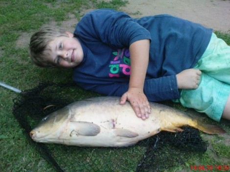 Kapr obecný, 87 cm, 12 kg