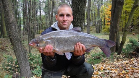Tolstolobik bílý, 91 cm, 9.8 kg