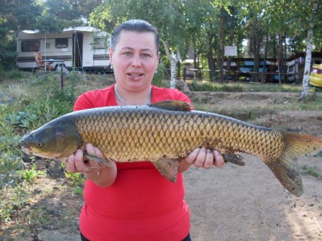 Amur bílý, 89 cm, 4.5 kg