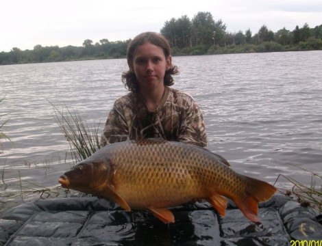 Kapr obecný, 85 cm, 13 kg