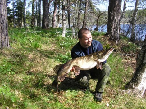 Štika obecná, 107 cm, 12 kg