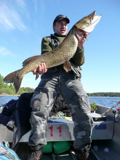 Štika obecná, 121 cm, 12.5 kg