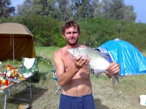 Cejn velký, 60 cm