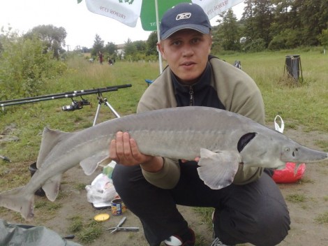 Jeseter sibiřský, 107 cm