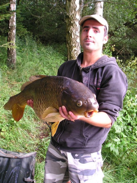 Kapr obecný, 80 cm, 11 kg
