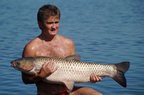 Amur bílý, 107 cm, 15 kg