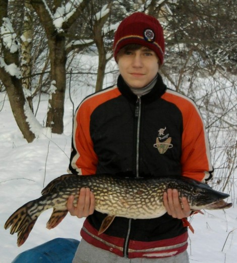 Štika obecná, 86 cm