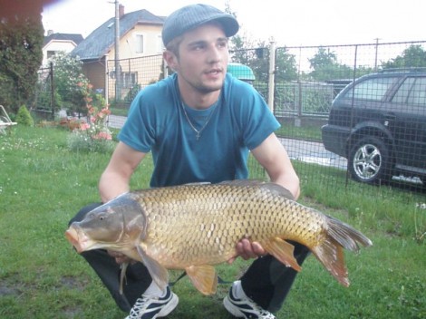 Kapr obecný, 75 cm, 9.43 kg