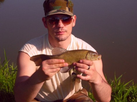 Lín obecný, 35.5 cm