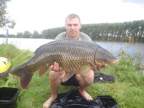 Kapr obecný, 93 cm, 17.5 kg