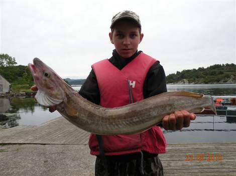 Mník mořský, 99 cm, 6.2 kg