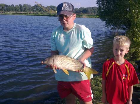 Kapr obecný, 60 cm, 3 kg
