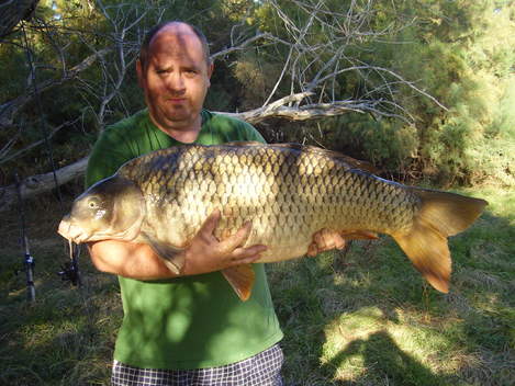 Kapr obecný, 105 cm, 22 kg