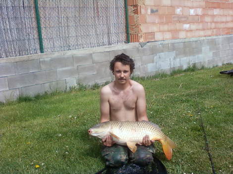 Kapr obecný, 80 cm, 13 kg