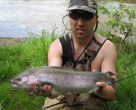 Pstruh duhový, 57 cm, 2.2 kg
