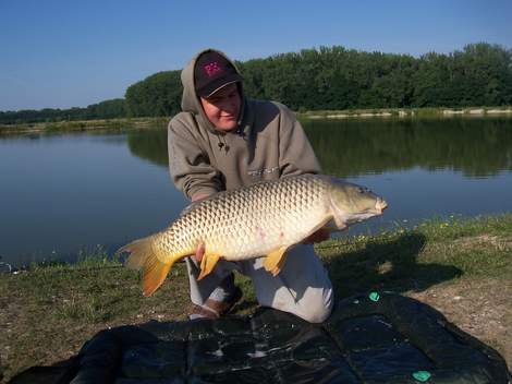 Kapr obecný, 83 cm, 13.8 kg