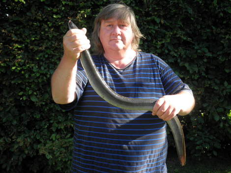 Úhoř říční, 101 cm, 2.9 kg