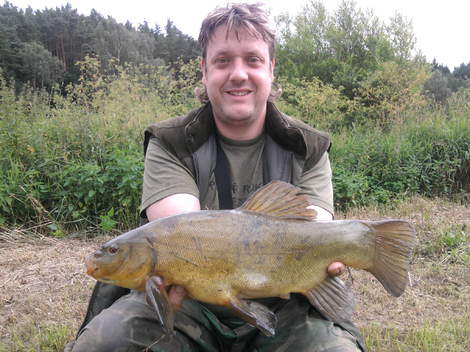 Lín obecný, 53 cm