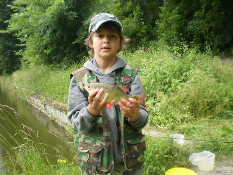 Perlín ostrobřichý, 29 cm