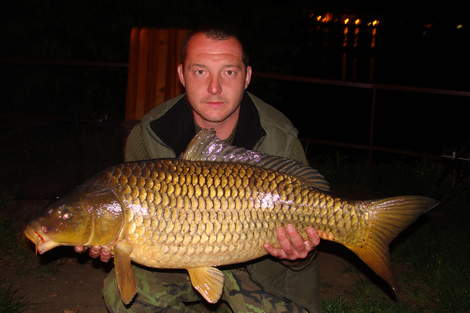 Kapr obecný, 84 cm, 12.5 kg