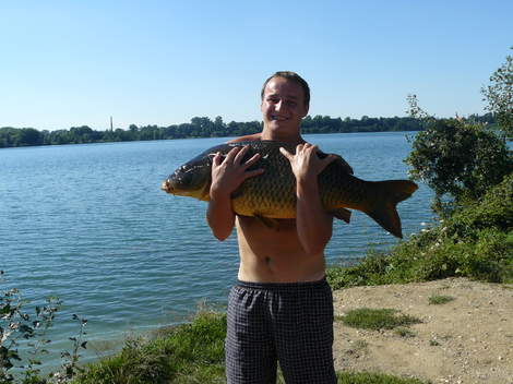 Kapr obecný, 94 cm