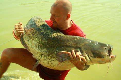 Sumec velký, 183 cm, 52 kg