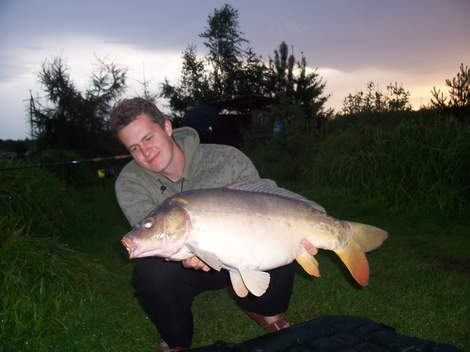Kapr obecný, 81 cm, 12 kg