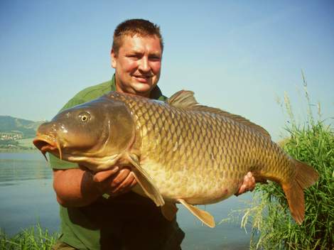 Kapr obecný, 100 cm, 20.1 kg