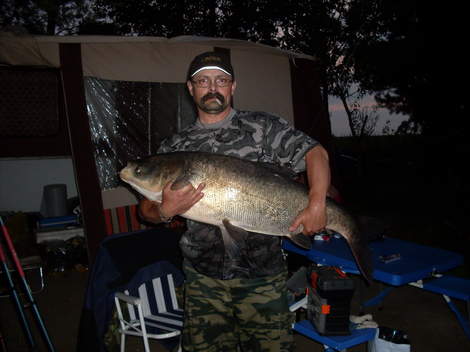 Tolstolobik bílý, 117 cm, 28 kg