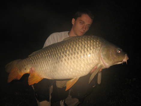 Kapr obecný, 91 cm, 13.5 kg