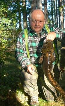 Mník jednovousý, 80 cm, 3.2 kg