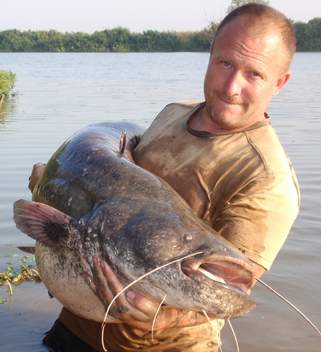 Sumec velký, 182 cm