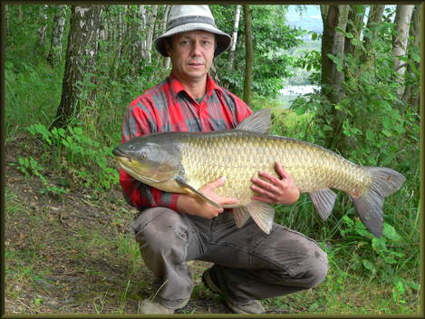 Amur bílý, 112 cm, 20 kg