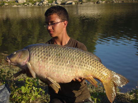 Kapr obecný, 98 cm, 18.6 kg