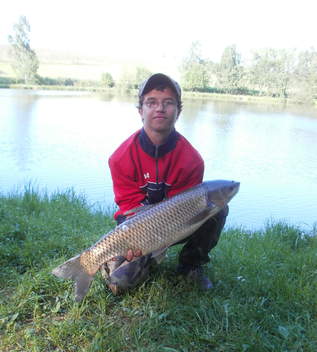 Amur bílý, 81 cm