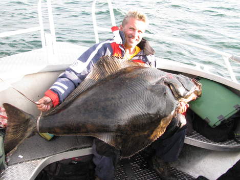 Halibut, 161 cm, 59 kg