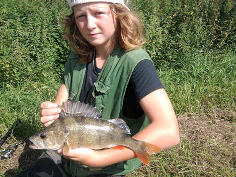 Okoun říční, 39 cm, 0.75 kg