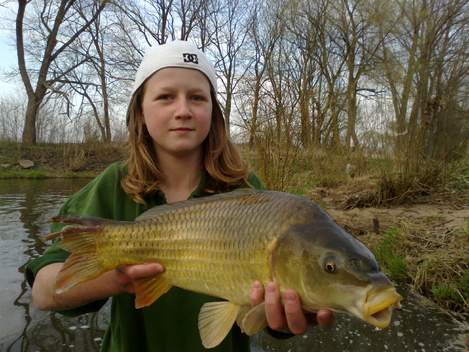 Kapr obecný, 56 cm